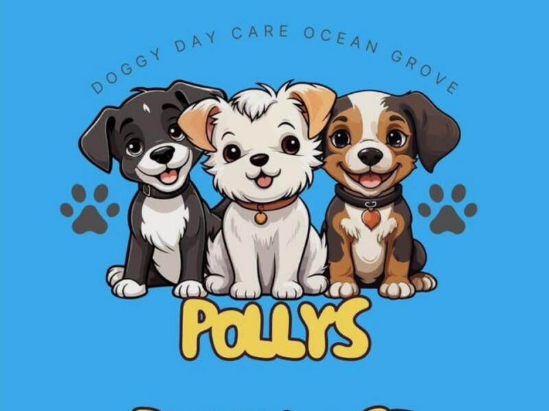 Polly Playhouse